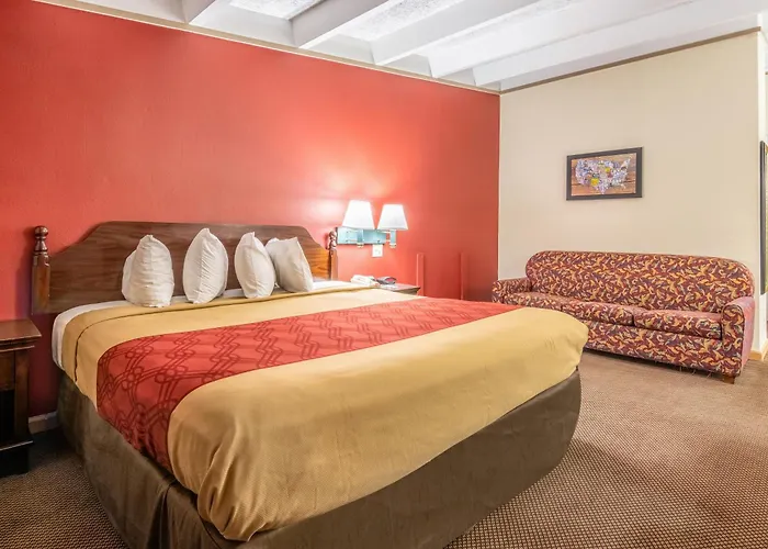 Pet Friendly hotel: Perry Inn & Suites National Fairground I 75