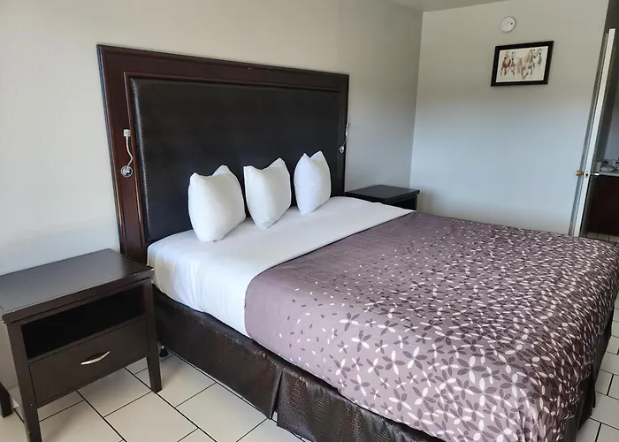 Pet Friendly hotel: Pacific Inn
