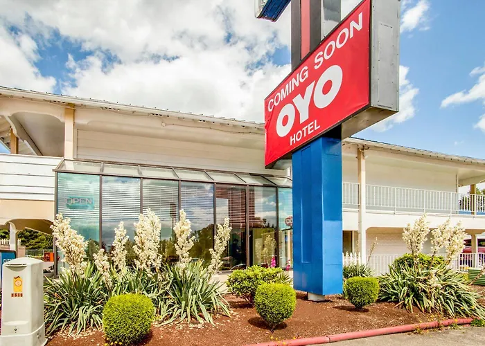 Central hotel: Oyo Hotel Centralia