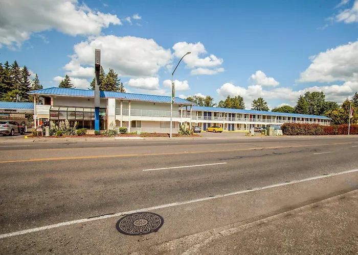 Central hotel: Oyo Hotel Centralia