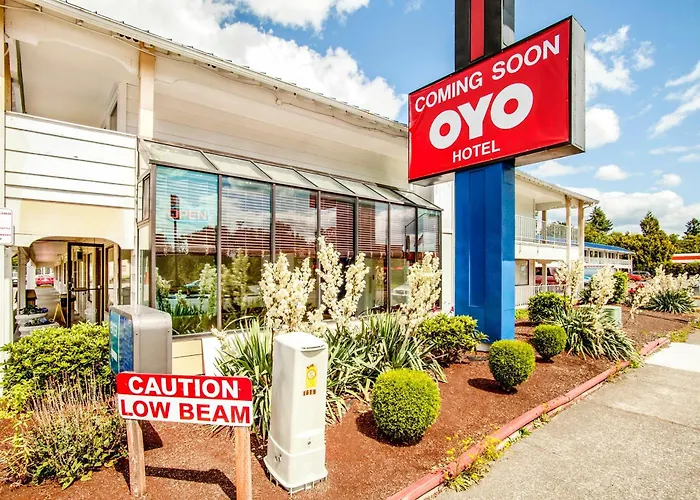 Central hotel: Oyo Hotel Centralia