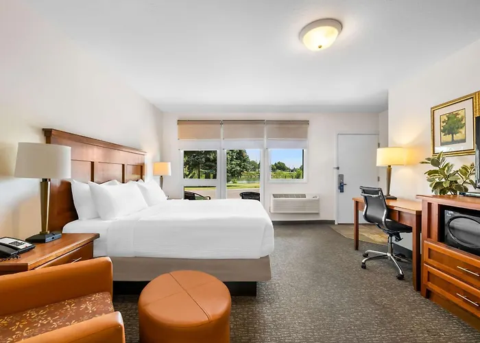  Best Western Driftwood Inn