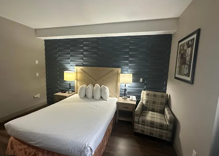 Pets Allowed Hotel Best Western Peace Arch Inn