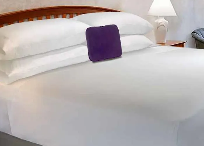 Dog friendly hotels Knights Inn Somerset