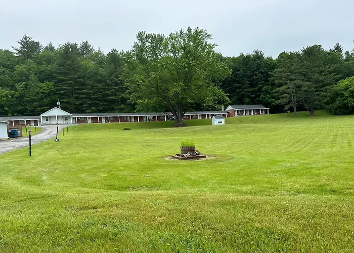 Pet Friendly hotel: Starlight Inn