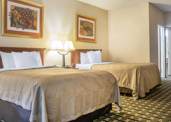 Pet Friendly hotel: Quality Inn & Suites Palm Island Indoor Waterpark