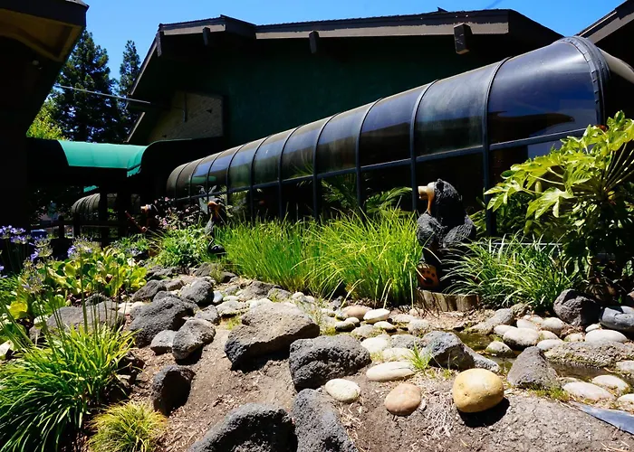 Family Hotel: Best Western Plus Forest Park Inn