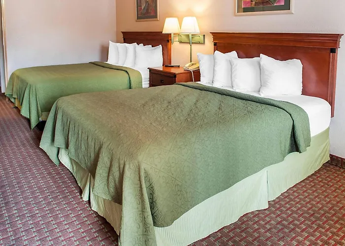 Quality Inn & Suites - University Area