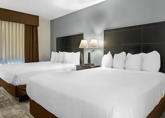 Pet Friendly hotel: Best Western Lakewinds