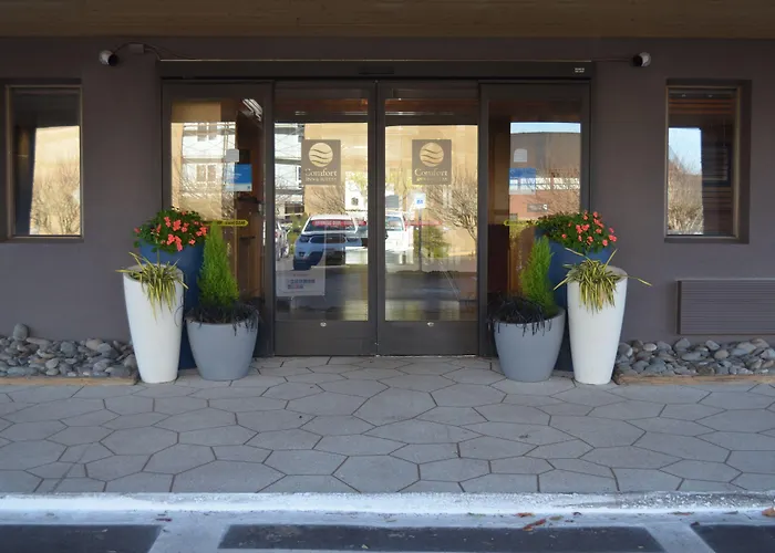 Pet Friendly hotel: Comfort Inn & Suites Vancouver Downtown City Center