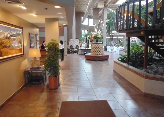 Ping Pong hotel: The Academy Hotel Colorado Springs