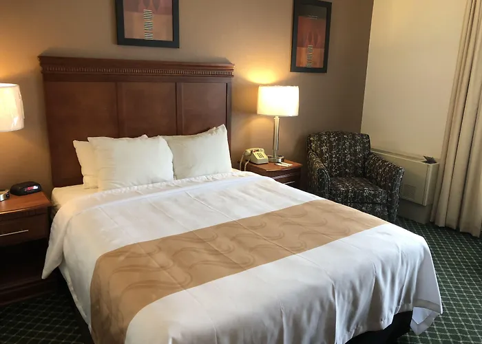 Luxury hotel only: Quality Inn Colchester - Burlington