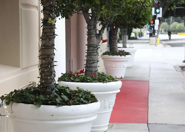 Carmel Santa Monica