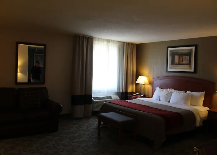 Family Hotel: Comfort Inn Hastings