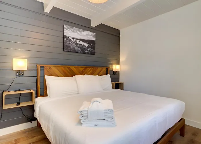 Pets Allowed Hotel Tahoe Mountain