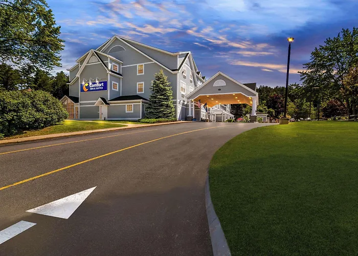 Dog friendly hotels Comfort Inn & Suites North Conway