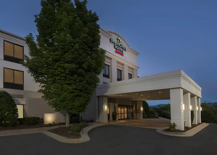 Pets Allowed Hotel Springhill Suites Asheville