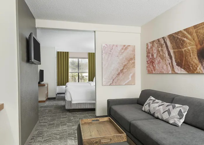 Pets Allowed Hotel Springhill Suites Asheville