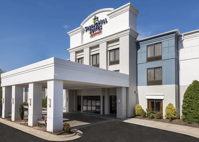 Pets Allowed Hotel Springhill Suites Asheville