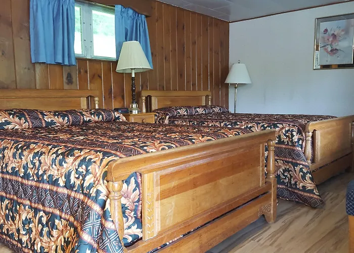 Pet Friendly hotel: Starlight Inn