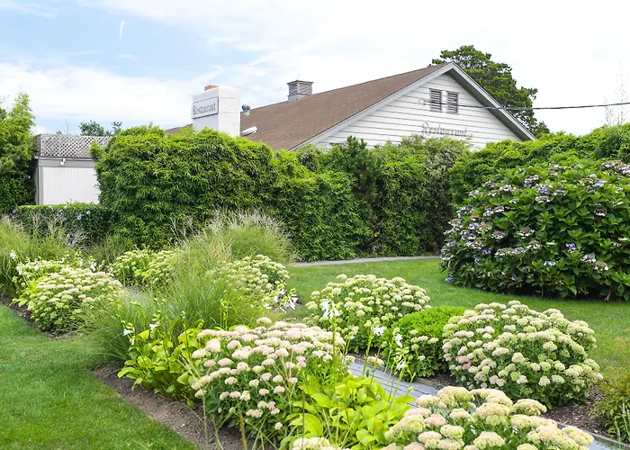 Pet Friendly hotel: Sole East Resort