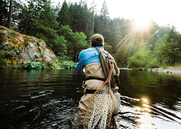 3 star hotel: Holiday Inn Express Yreka-Shasta Area By Ihg