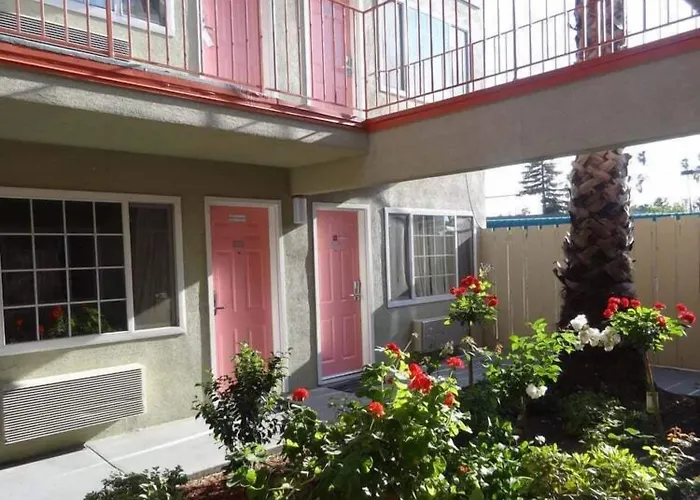 Pet Friendly hotel: The Flamingo Motel San Jose