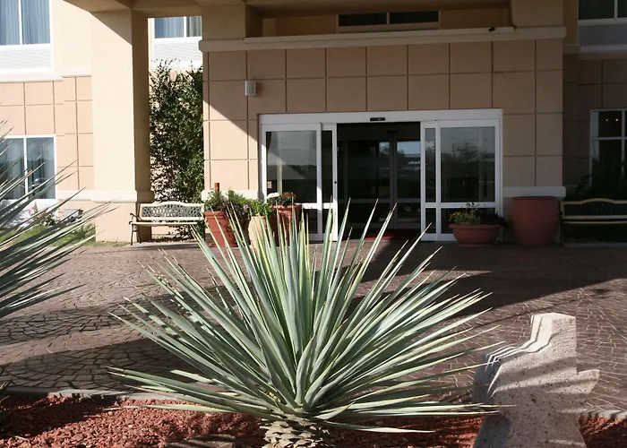 Pet Friendly hotel: Hampton Inn Alpine