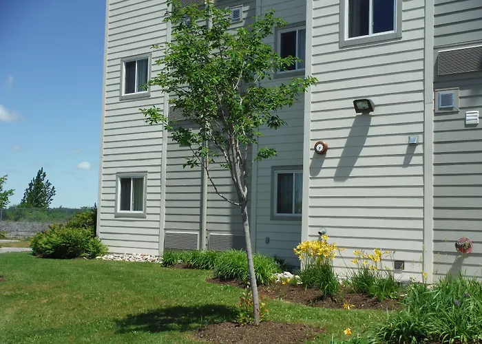 Hôtel bon marché: Motel 6-Kingston, On