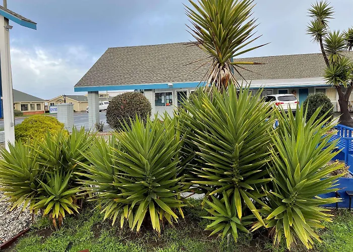 Cheap hotel: Baymont By Wyndham Fort Bragg