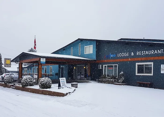 3 star hotels Red Tree Lodge