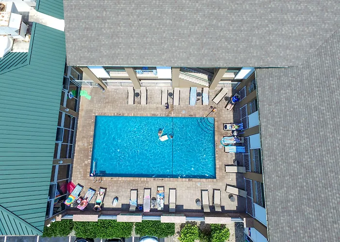Pets Allowed Hotel Shutters On The Banks