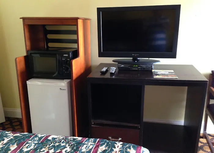 Dog friendly hotels Flamingo Inn