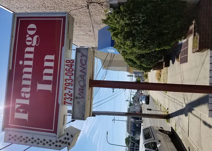 Dog friendly hotels Flamingo Inn