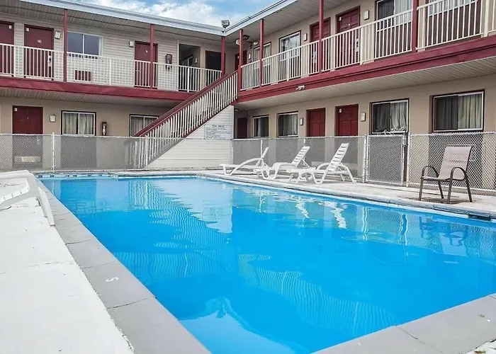 Dog friendly hotels Flamingo Inn
