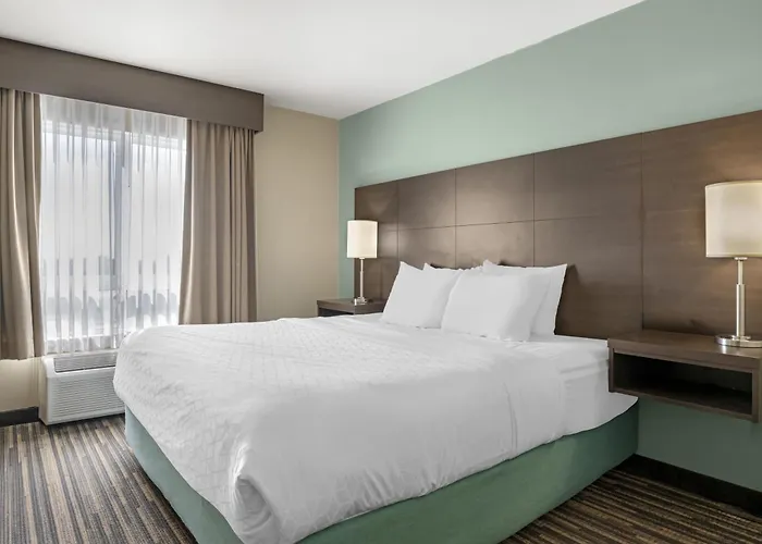 Western Plus &Suites
