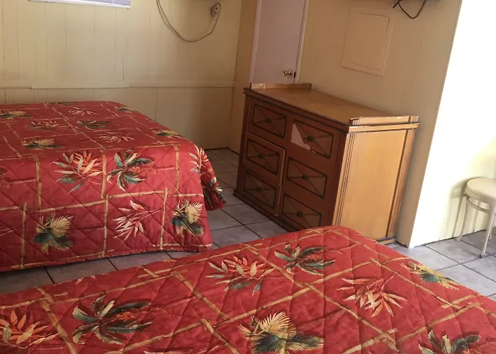 Hotel near College: Shelton Motel