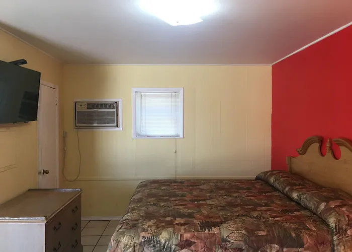 Hotel near College: Shelton Motel