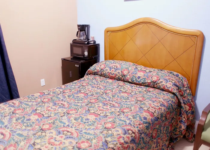 Hôtel accueillant les animaux: Oak Hotel