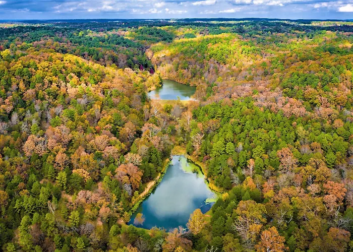 Cinnamon Valley