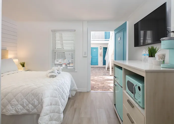 Cheap hotels Lily & Bloom