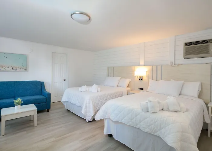 Cheap hotels Lily & Bloom