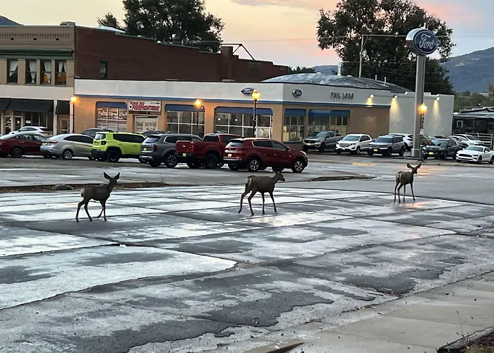 Resort: Heart'S Desire Inn