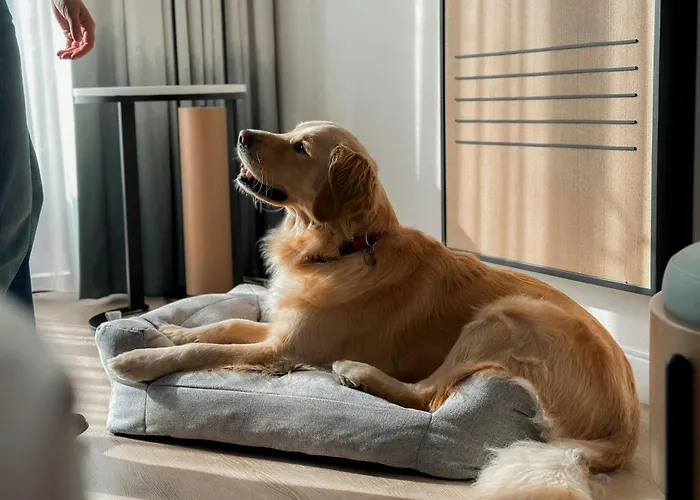 Pet Friendly hotel: Marriott Long Beach Downtown