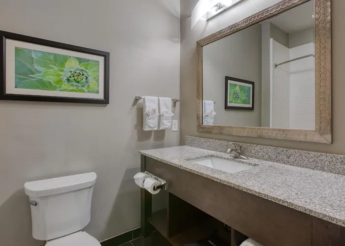 Pet Friendly hotel: Best Western Plus Tech Medical Center Inn