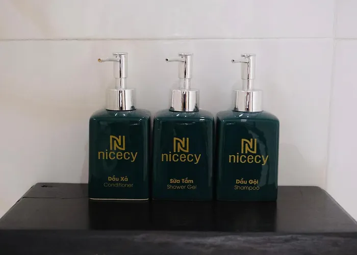 Nicecy Boutique Hotel