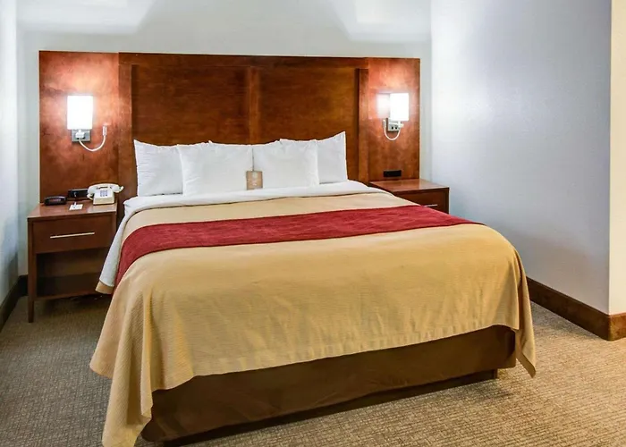 Bed and Breakfast Comfort Redding Near I-5