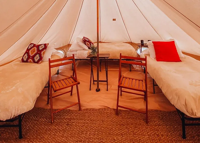 Pets Allowed Hotel Wander Camp Olympic