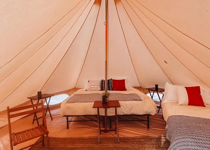 Pets Allowed Hotel Wander Camp Olympic