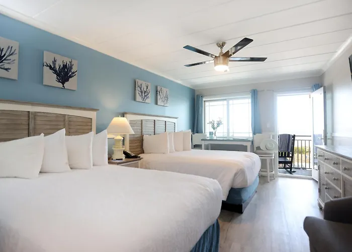 B&B only: Marquis De Lafayette